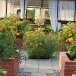Consejos para crear un jardín sostenible y ecológico